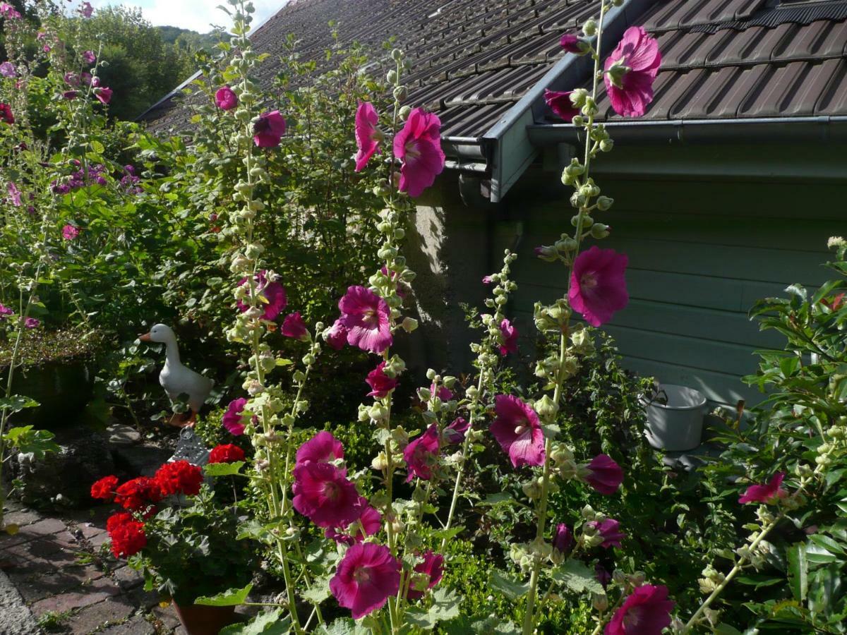 Bed and Breakfast Roulotte La Dominique Romery  Екстер'єр фото