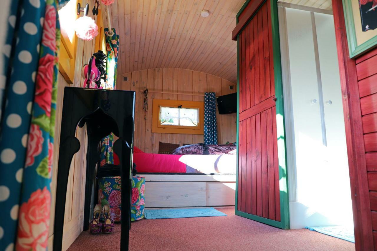 Bed and Breakfast Roulotte La Dominique Romery  Екстер'єр фото